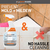 Tile and Grout - 500ml Spray with Grout Removal Tool